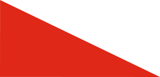 digital marketing agency in delhi